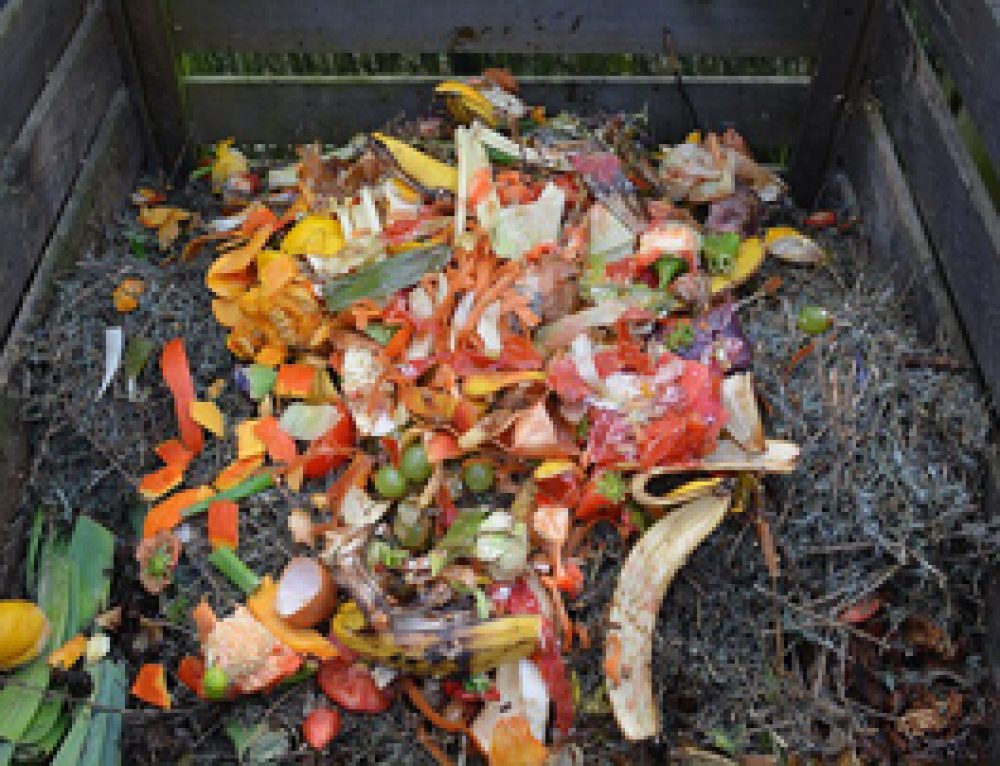 10 Consejos para Hacer un Compost Casero